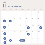 11月の診療について